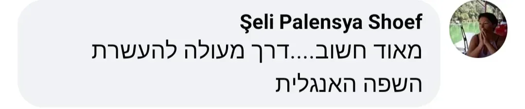 תיאור תמונה